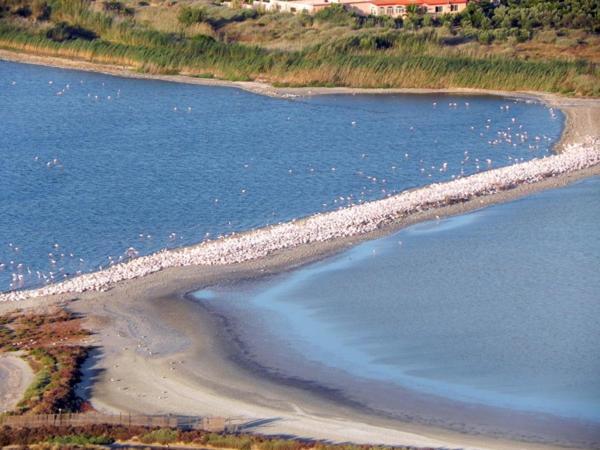 Vinile Lägenhet Cagliari Exteriör bild